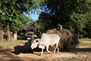 ミャンマー　カイン州　