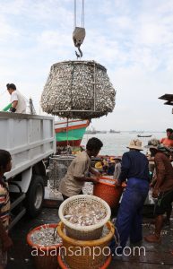 ミャンマー　ベイ　魚市場