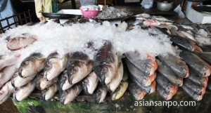 ミャンマー　パアン　市場　魚
