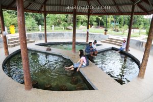 ミャンマー　コータウン　温泉