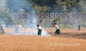 ミャンマー　モーラミャインーヤンゴン　野焼き