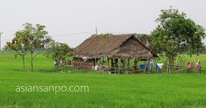 ミャンマー　ヤンゴンーネピドー　農家