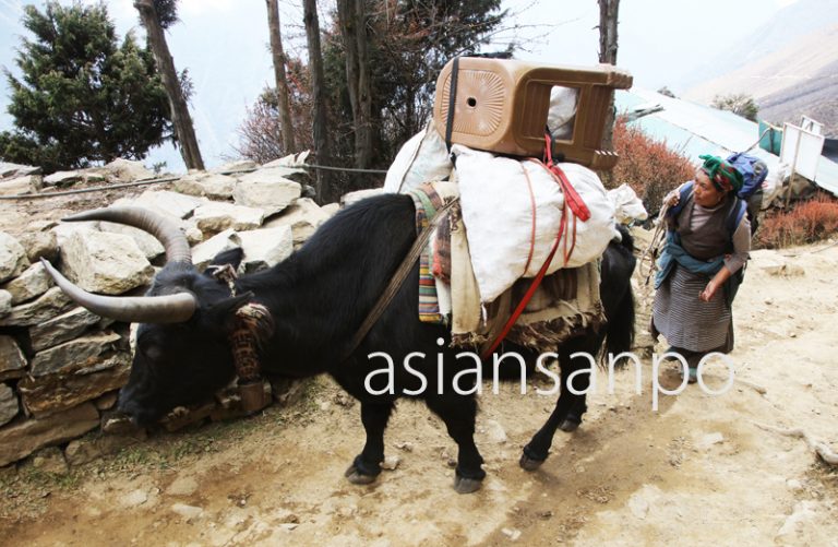ネパール　エベレスト街道　シェルパ族　運搬