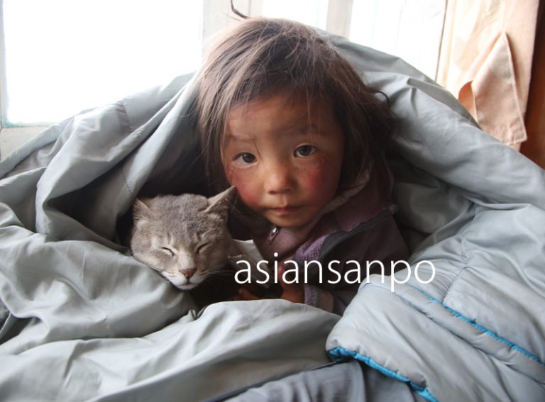 ネパール　エベレスト街道　クンデ　ツェリン　子猫