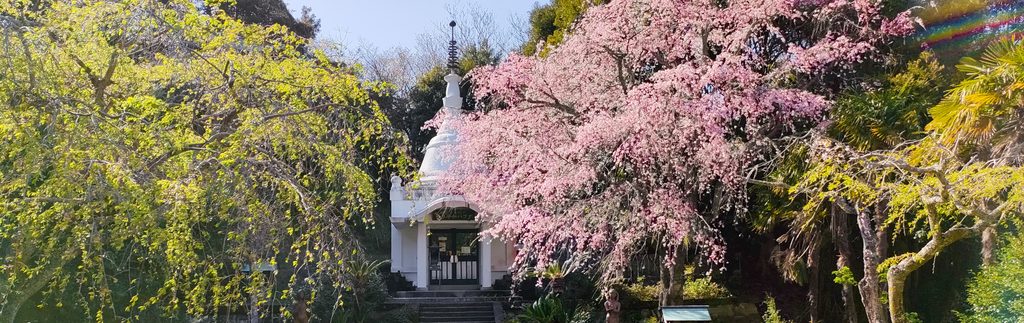 妙蔵寺ミャンマーパゴダ